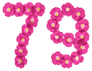 Fototapeta na wymiar Arabic numeral 79, seventy nine, from pink flowers of flax, isolated on white background