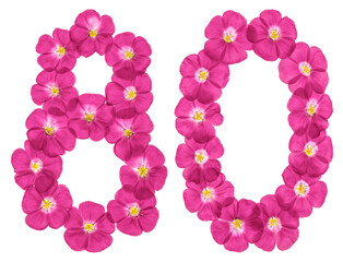 Arabic numeral 80, eighty, from pink flowers of flax, isolated on white background