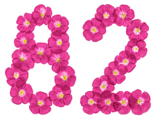 Fototapeta na wymiar Arabic numeral 82, eighty two, from pink flowers of flax, isolated on white background