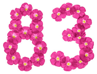 Arabic numeral 83, eighty three, from pink flowers of flax, isolated on white background
