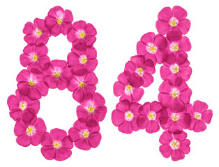 Fototapeta na wymiar Arabic numeral 84, eighty four, from pink flowers of flax, isolated on white background