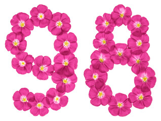 Arabic numeral 98, ninety eight, from pink flowers of flax, isolated on white background