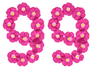 Arabic numeral 99, ninety nine, from pink flowers of flax, isolated on white background