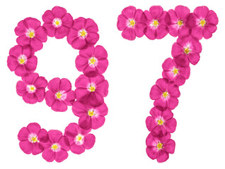 Arabic numeral 97, ninety seven, from pink flowers of flax, isolated on white background