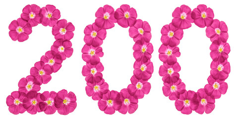 Arabic numeral 200, two hundred, from pink flowers of flax, isolated on white background - 395739374