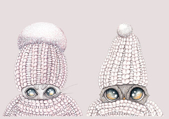 Set of illustrations of cartoon muzzles of an owl and a cat in warm knitted hats