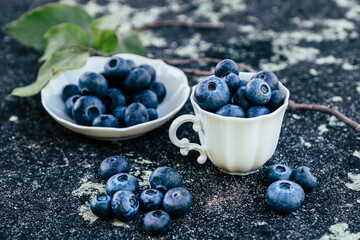 Délicieuses myrtilles cueillies dans le jardin dans un pot en céramique blanc