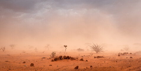 Dusty Sandstorm in Ethiopian Desert - Powered by Adobe