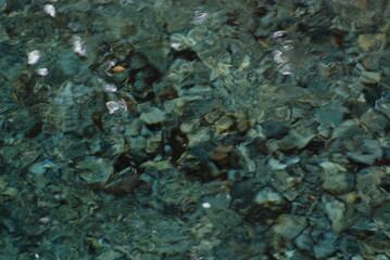 透き通った川の水