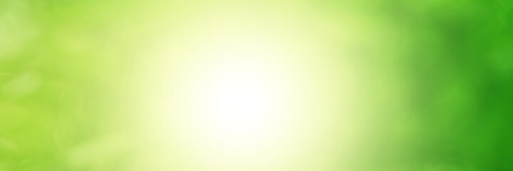 Green light leaves blurred and blur natural abstract. Effect sunlight  soft bright shiny style  bokeh circle yellow and orange blurry morning . For wallpaper backdrop and background.
