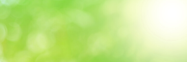 Green light leaves blurred and blur natural abstract. Effect sunlight  soft bright shiny style  bokeh circle yellow and orange blurry morning . For wallpaper backdrop and background.
