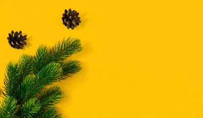 Fototapeta na wymiar Forest composition, cones and green fir branches, yellow background with copy space, banner