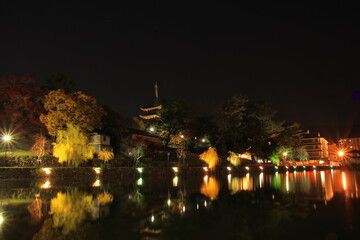 奈良　猿沢の池