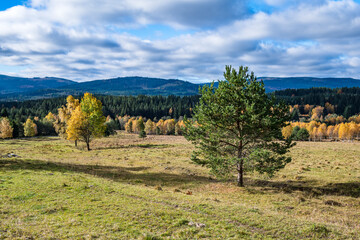 Fototapeta na wymiar Beautiful landscape of the Czech Republic area of the Sumava National Park.