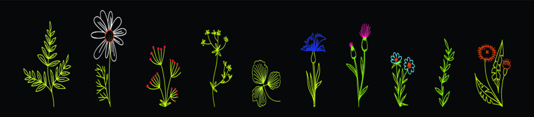 set of decorative herb cartoon icon design template with various models. vector illustration isolated on black background