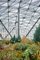 The garden under the dome. Autumn paints.City Park