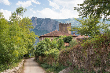 Fototapeta na wymiar Old stone buildings surrounded by trees and mountains in Mogrovejo, Cantabria, Spain