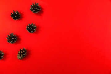 Winter christmas composition, fir cones, red background, copy space, flat lay, banner
