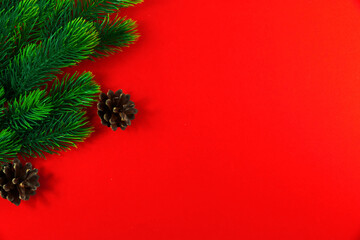 Winter composition, green fir branches and cones, bright red background, copy space, flat lay