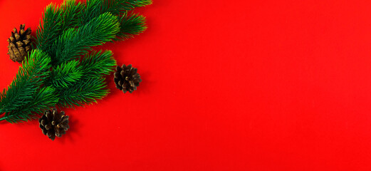 Winter composition, green fir branches and cones, bright red background, copy space, flat lay banner