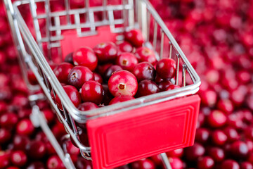 Shopping Trolley with ripe fresh cranberries as natural, food, berries, buying vitamins background....