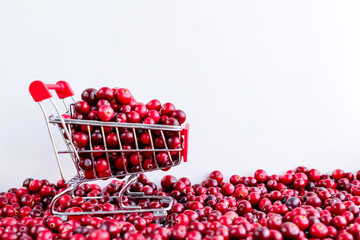 Shopping Trolley with ripe fresh cranberries as natural, food, berries, buying vitamins background. Selective focus.