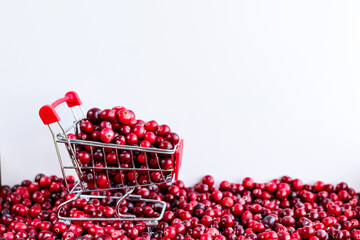 Shopping Trolley with ripe fresh cranberries as natural, food, berries, buying vitamins background....