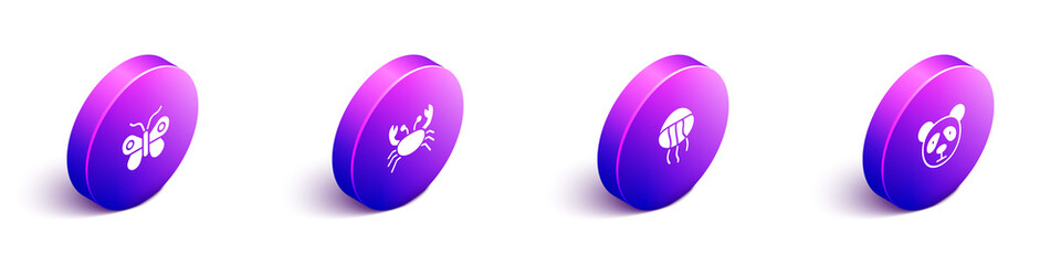 Set Isometric Butterfly, Crab, Jellyfish and Cute panda face icon. Vector. © Oksana