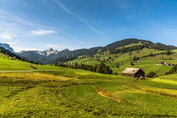 Landschaft mit Almen und Bauernhöfen, im Hintergrund der Gipfel des Speer, Toggenburg, Kanton St. Gallen, Schweiz