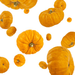 Many pumpkins freefalling on white background. Selective focus - shallow depth of field.