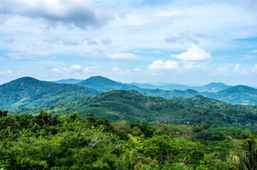 Fototapeta na wymiar Thailand jungle