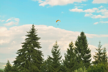 Paraglider flying in distance by blue sky over summer pine at sunset