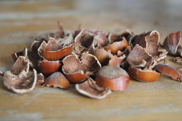 nuts hazelnuts are lying on a table