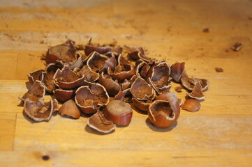 nuts hazelnuts are lying on a table