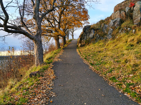 Pathway surrounded with grass captured in Tonsberg, Norway during the daytime
