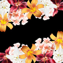Beautiful floral background of lilies and pelargoniums. Isolated