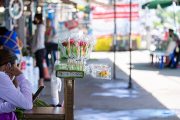 Vintage Candy in Art plant and animal shape such as elephent and flower. It's stick on the foam for sale at the front of fresh market.
