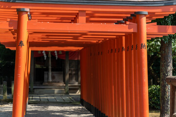 熊本の水前寺公園の風景です。