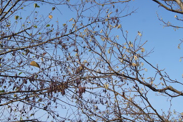 park in November 2020