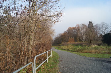 park in November 2020