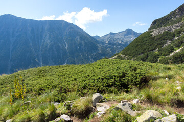 Fototapeta na wymiar Banderishki Chukar Peak, Pirin Mountain, Bulgaria
