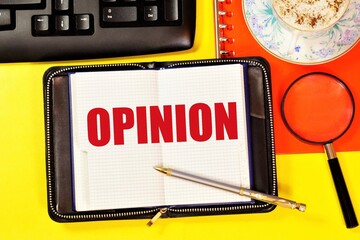 Opinion. The text label in the working notebook. The assessment on the basis of the facts to make...