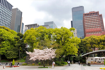Central park in Chiyoda, Toyko, Japan. Close to the emperor palace. April 2015.