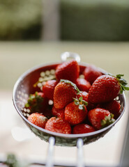 Fresh strawberries in a colander