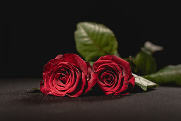 two red roses on black , funeral concept