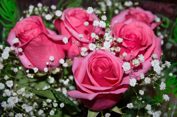 Beautiful bouquet of blooming soft pink roses. Bouquet of pink roses close-up.