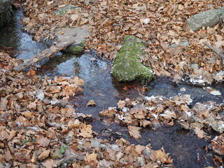 Creek running among the fallen leaves covered with hoarfrost. Autumn frosts.