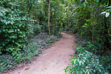 Trail at 