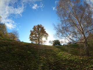 Obraz premium Sunny autumn day in Greenwich park