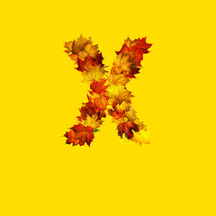 Colorful autumn leaves isolated on yellow background as letter X.